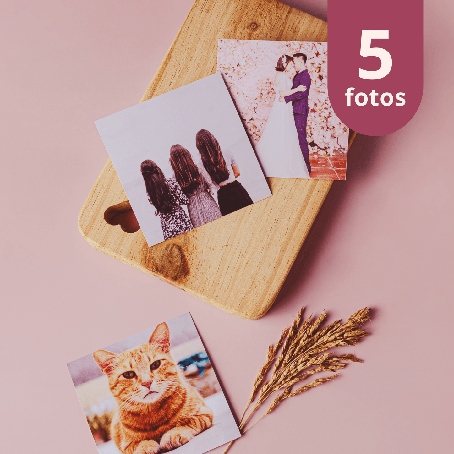 Fotos 10x10 (Kit com 5 Fotos) - Leão Fotos
