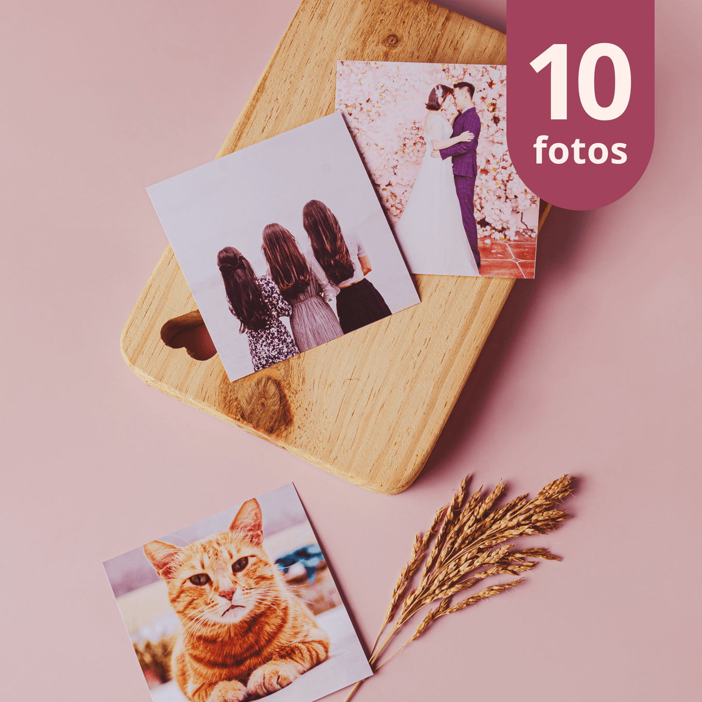 Fotos 10x10 (Kit com 10 Fotos) - Leão Fotos