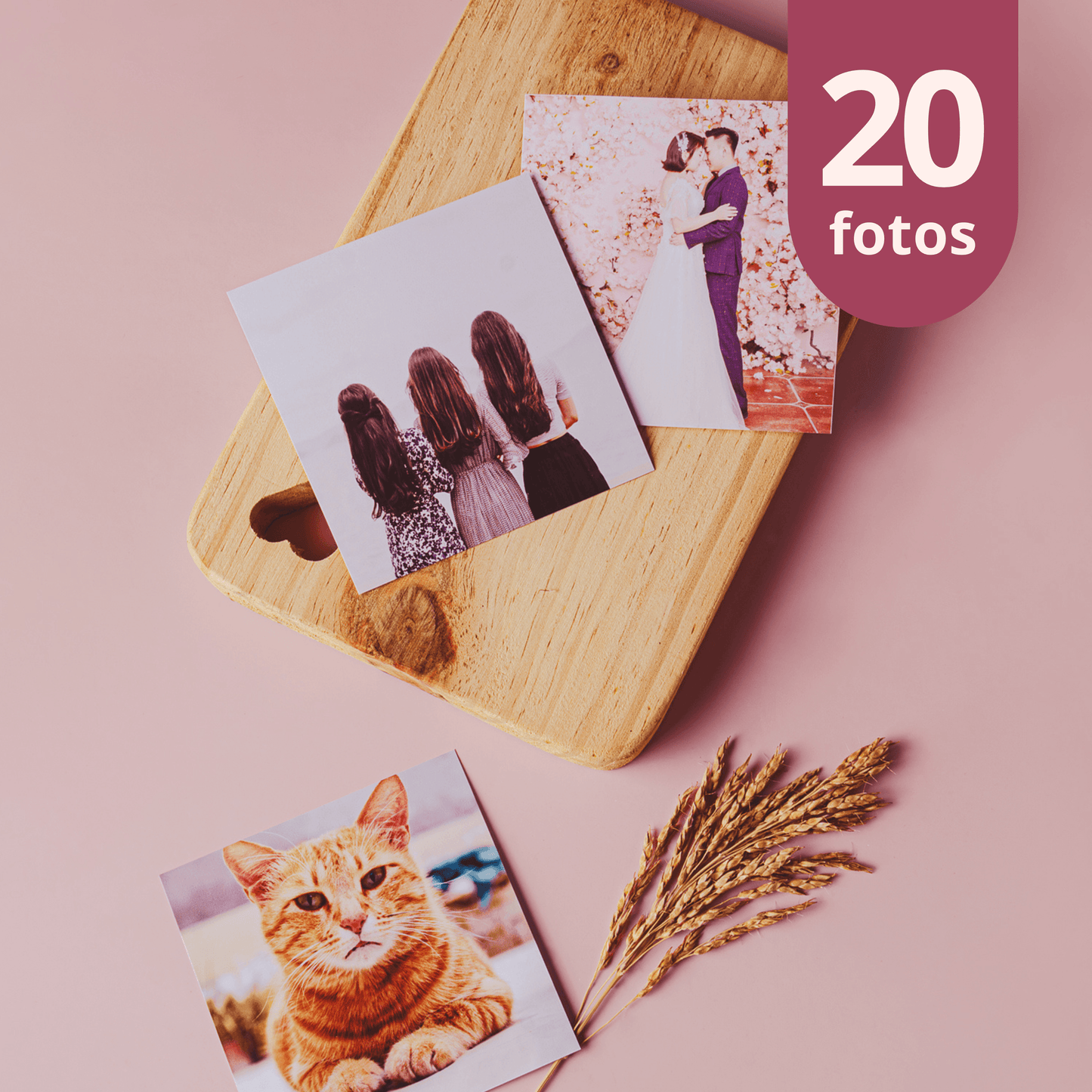 Fotos 10x10 (Kit com 20 Fotos) - Leão Fotos